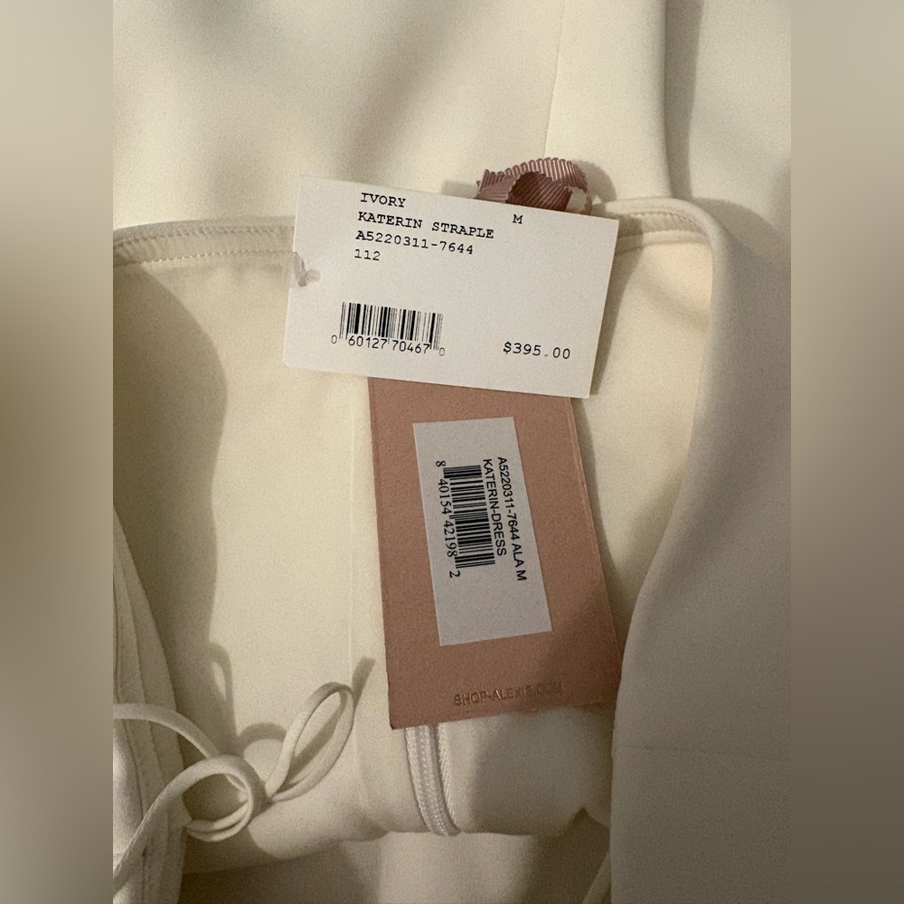 Alexis Katerin Strapless Mini Dress Medium NWT Ivory Notch Neckline Designer - Picture 6 of 8